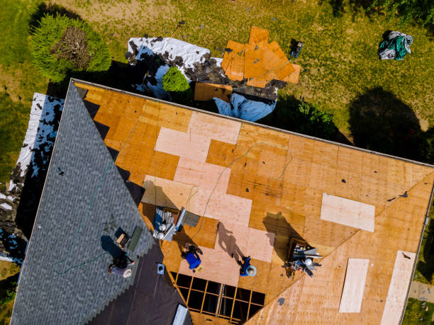 Best Roof Gutter Cleaning  in Ligonier, IN